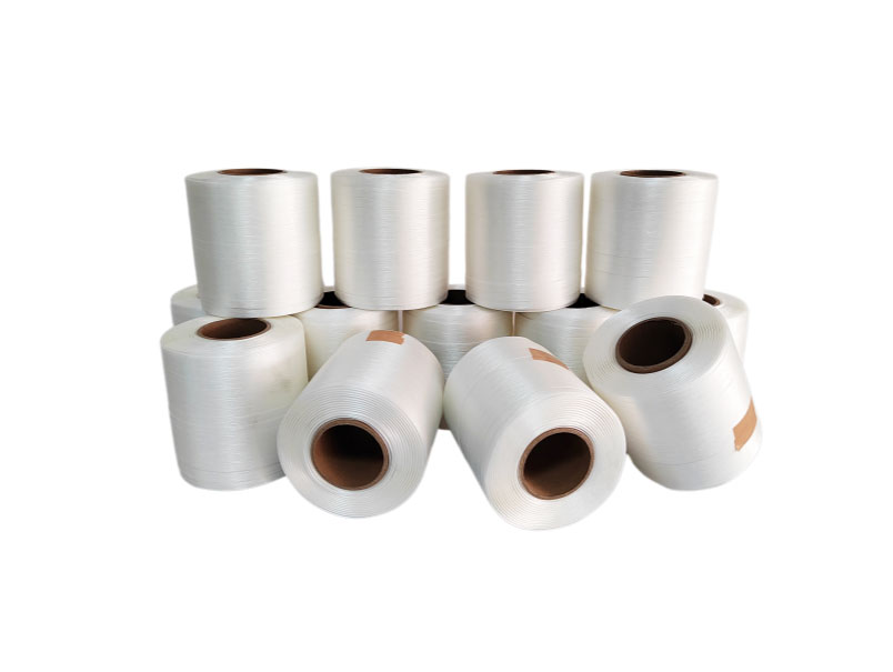 Polyester PE omsnoeringsband