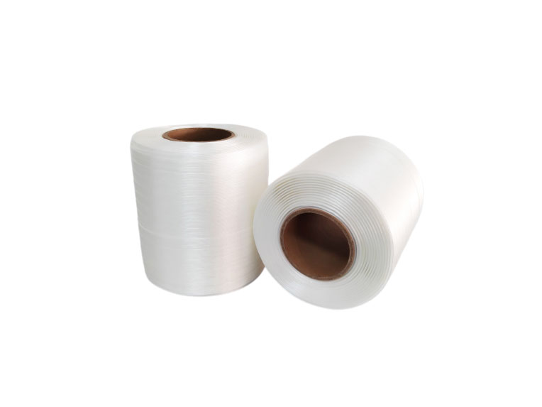 Polyester PE omsnoeringsband