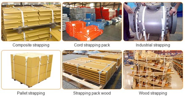 Polyester PE band
